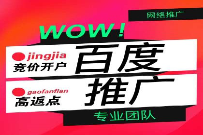 SEM代理案例：优化策略助力企业增长